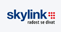 SkyLink
